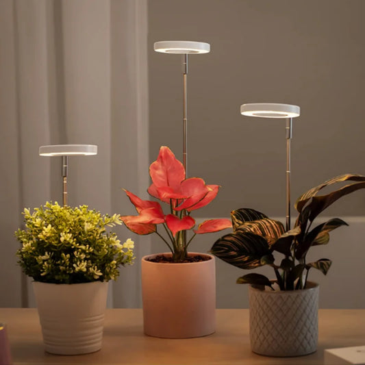 Sproutly - LED Grow Lamp