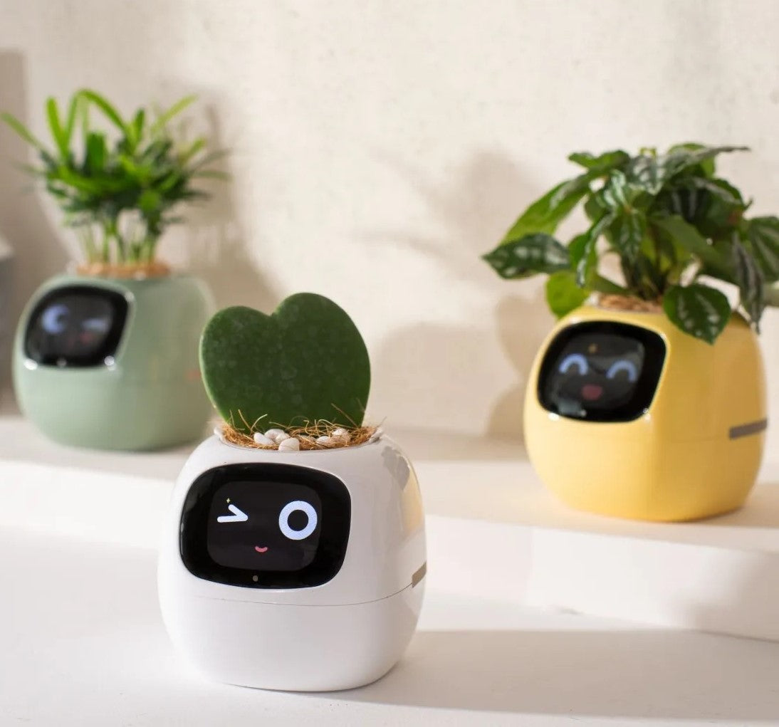 Sproutly - Smart AI Plant Pot